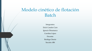 Modelo cinetico de flotacion batch