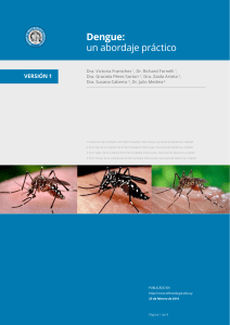 Dengue: Abordaje Pr&aacute;ctico - Gu&iacute;a para Profesionales de la Salud