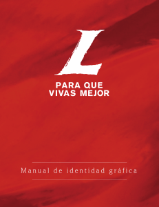 189366655-Manual-de-Identidad-pdf