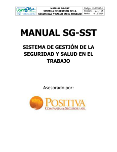 1. Manual SG-SST Lavaplus