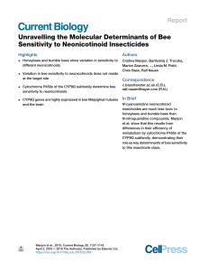 Unravelling the Molecular Determinants of Bee sensitivity
