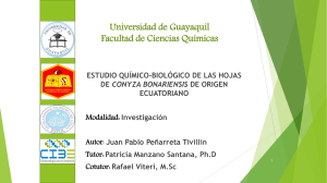 Estudio Químico- Biológico de las hojas de Conyza bonariensis de origen ecuatoriano-presentacion tesis