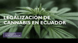 Legalización del Cannabis