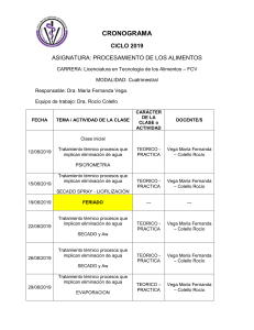 CRONOGRAMA-PROCESAMIENTO-2019