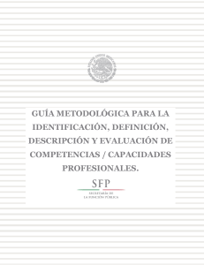 GUIA METODOLOGICA COMPETENCIAS CAPACIDADES PROFESIONALES