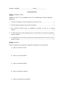 CIRCUITO ELECTRICO
