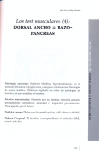 Bazo páncreas0001