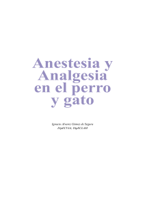 resumen anestesia