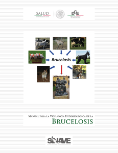 03 Manual Brucelosis