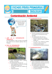 Contaminación-Ambiental-para-Cuarto-de-Primaria