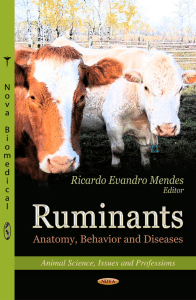 Ruminants Anatomy, Behavior and Diseases