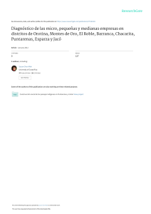 Diagnóstico de las micro, pequeñas y medianas empresas en distritos de Orotina, Montes de Oro, El Roble, Barranca, Chacarita, Puntarenas, Esparza y Jac.Ciencias Económicas