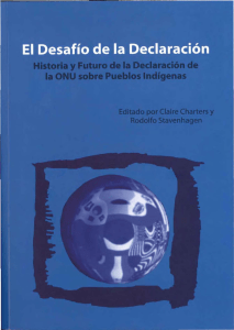LibroDesafiosDeclaracionDerechosIndigenas-RStavenhaguen