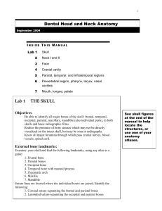 dental anatomy book