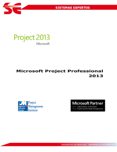 Manual Microsoft Project Professional