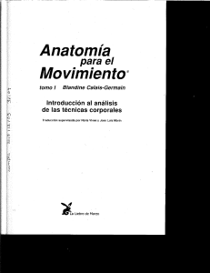anatomia movimiento