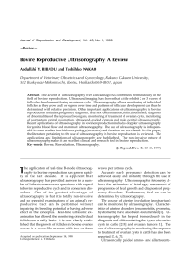 Bovine Reproductive Ultrasonography A Re