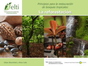 a.calle.reforestacion restauración bosques tropicales