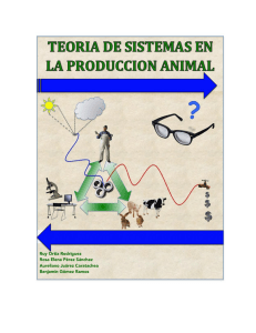 Libro de Teoria de Sistemas