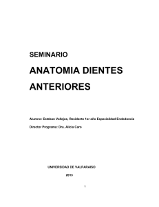 DocSeminarioAnatomíaDientesAnteriores1