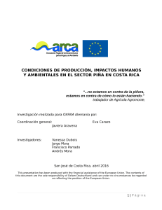 Condiciones de Producción, Impactos Humanos y Ambientales en el sector piña en Costa Rica