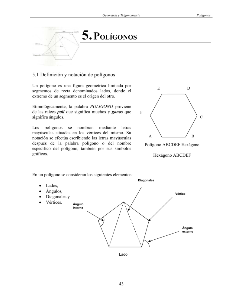 5los Poligonos