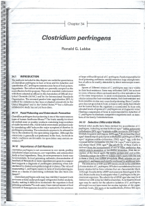 Clostridium perfringens