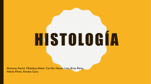 Histología-equipo-de-astrid