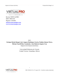 Producto-Virtual pro-2010