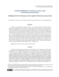Actividad antifúngica de Cymbopogon citratus contra Colletotrichum gloeosporioides