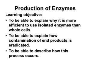 Producción de enzimas