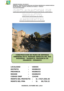 130094127-ANEXO-VI-Contenido-minimo-de-la-Evaluacion-Preliminar-DR-Rio-Higueras