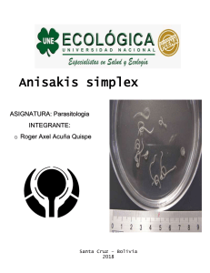 Anisakis simplex - Documento oficial