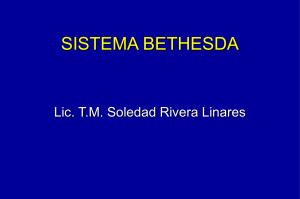1. Sistema Bethesda.2001