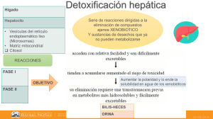 Detoxificacion Hepatica