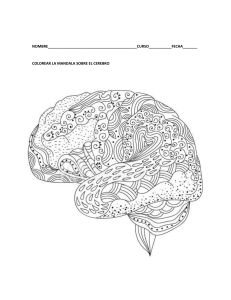 GUIA MANDALA CREBRO
