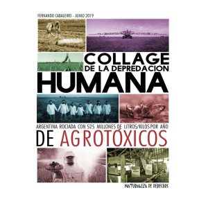 Collage de la Depredación Humana - 525 Millones de litros/kilos de Agrotóxicos en Argentina - 2019. Naturaleza de Derechos. Fernand