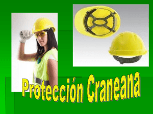 Protección craneal