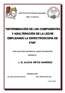 244206089-Alicia-Ortiz-Ramirez-Tesis-de-Maestria-pdf