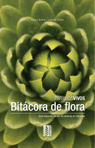BitacoraFLORA-Agosto11-Final Digital