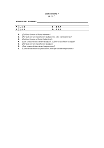 Examen Tema 7 1º ESO 4 OPCIONES