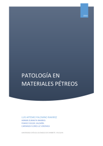 PATOLOGÍAS DE MATERIALES PÉTREOS