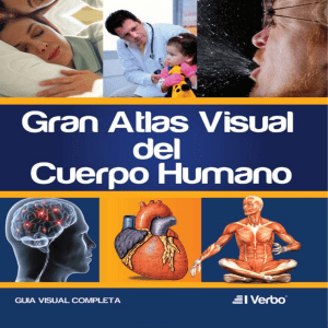 GRAN ATLAS VISUAL DE ANATOMIA HUMANA