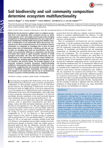 Soil Biodiversity & Ecosystem Multifunctionality