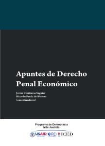 APUNTES DE DERECHO PENAL ECONOMICO - Javier Contreras Saguier y Otros