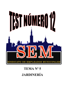 TEST JARDINERIA Nº12 FIGURAS LOGO SEM