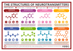 Chemical-Structures-of-Neurotransmitters