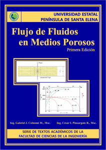 LM13-Flujo de fluidos en medios porosos