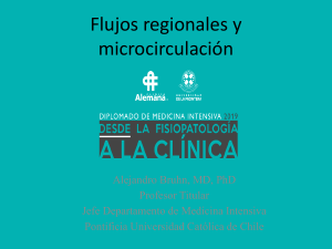 Flujos regionales y microcirculación 2019