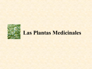 15242434-las-plantas-medicinales-130315181901-phpapp01